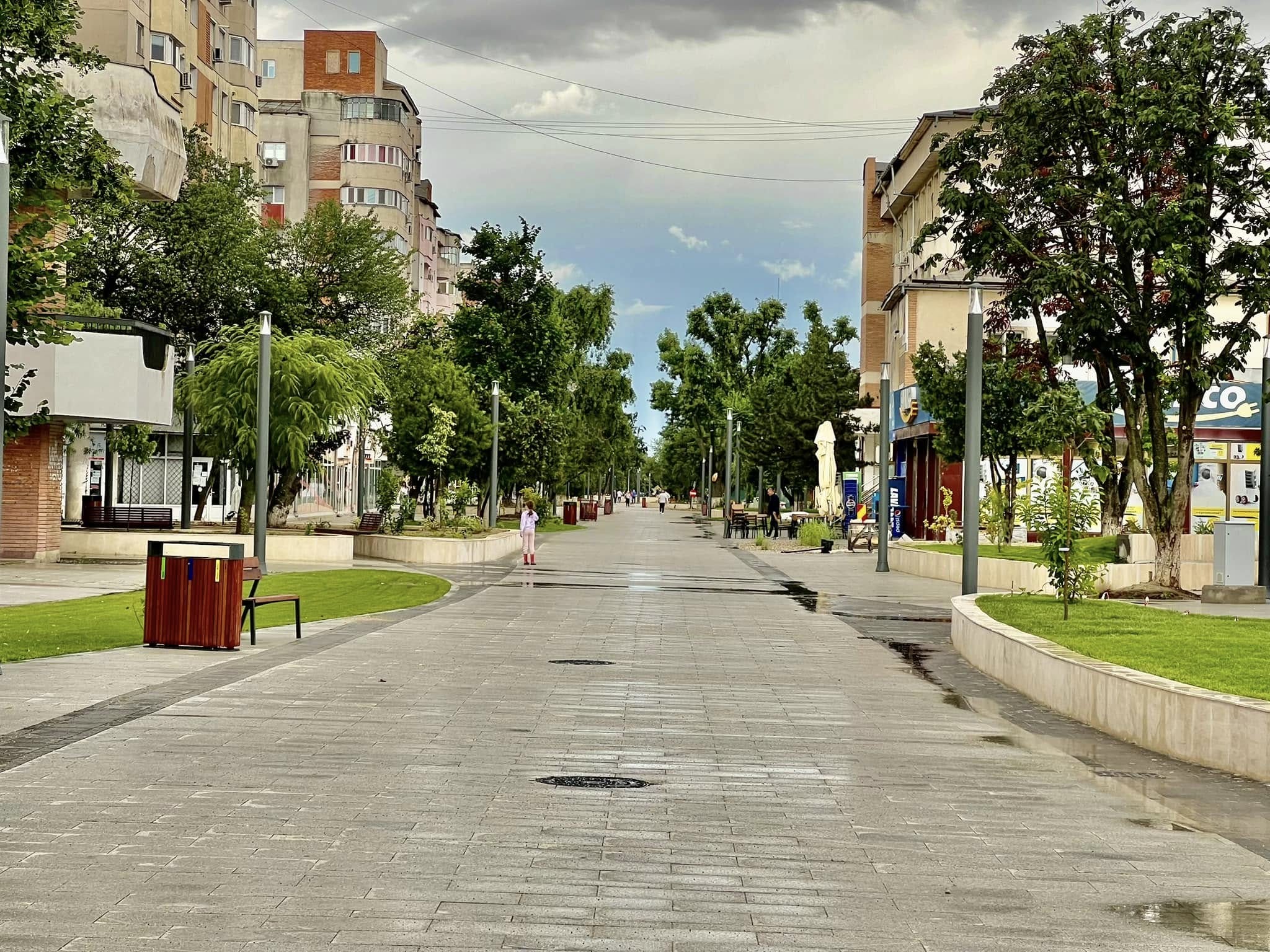 Servicii SEO Alexandria