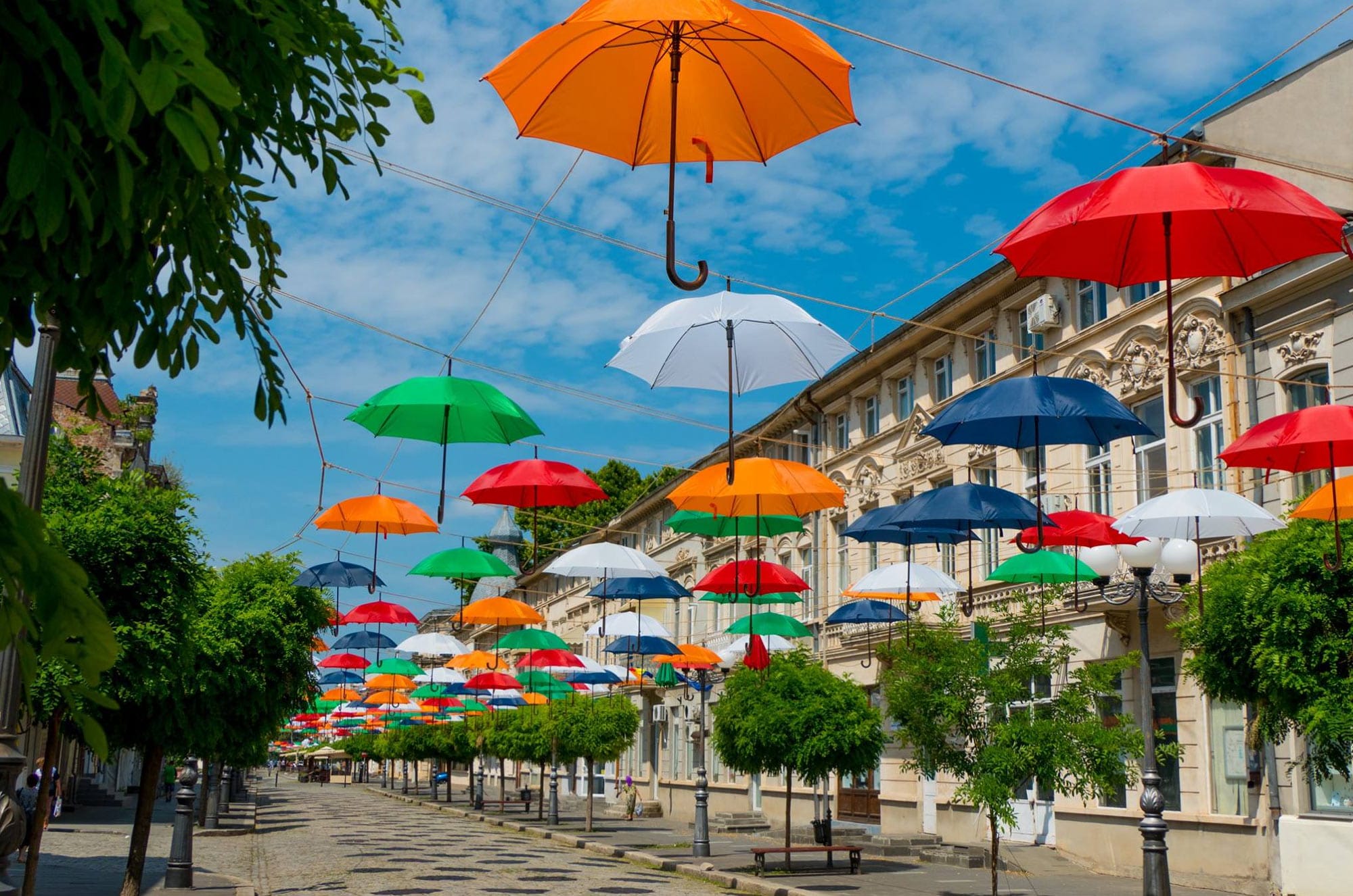 Servicii SEO Brăila