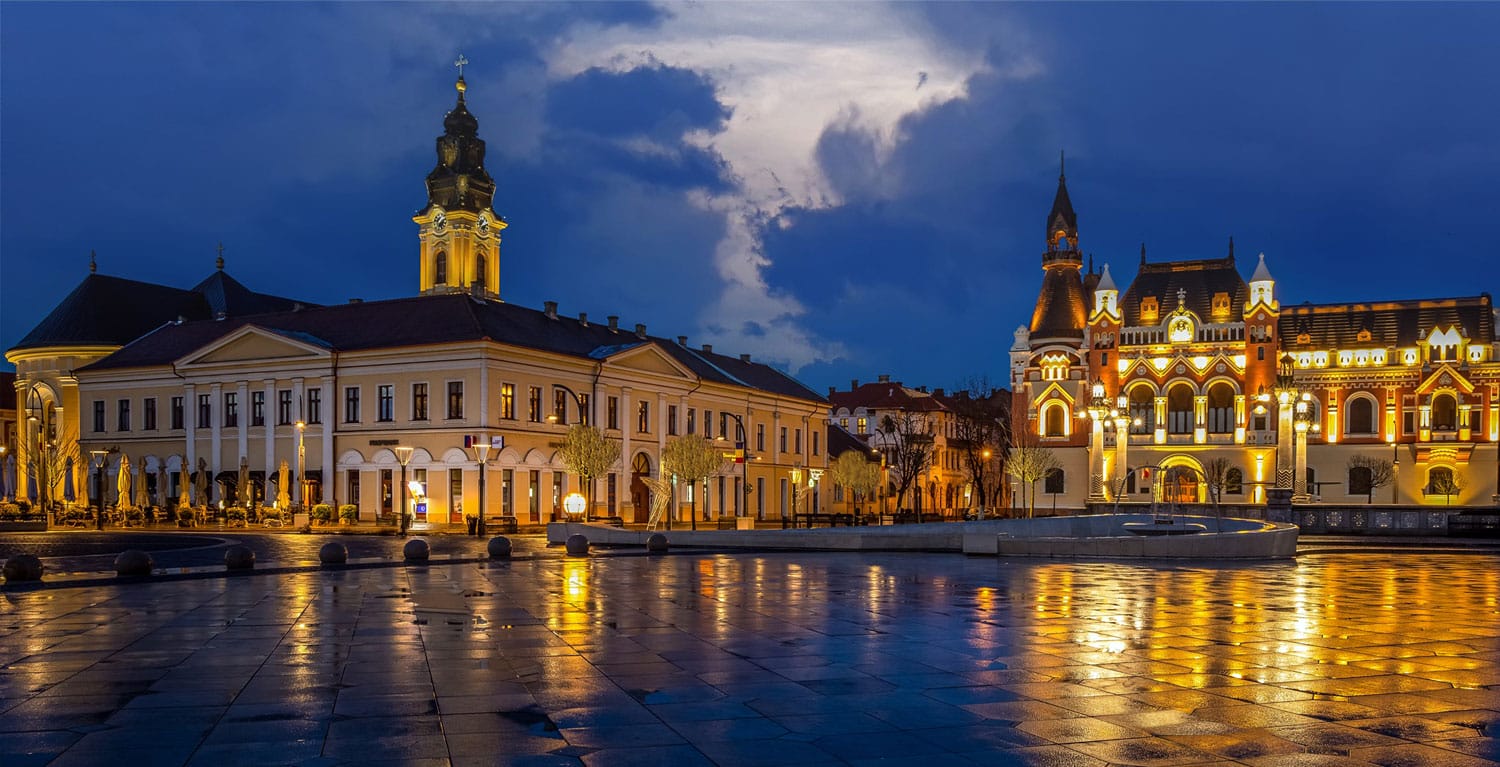 Servicii SEO Oradea