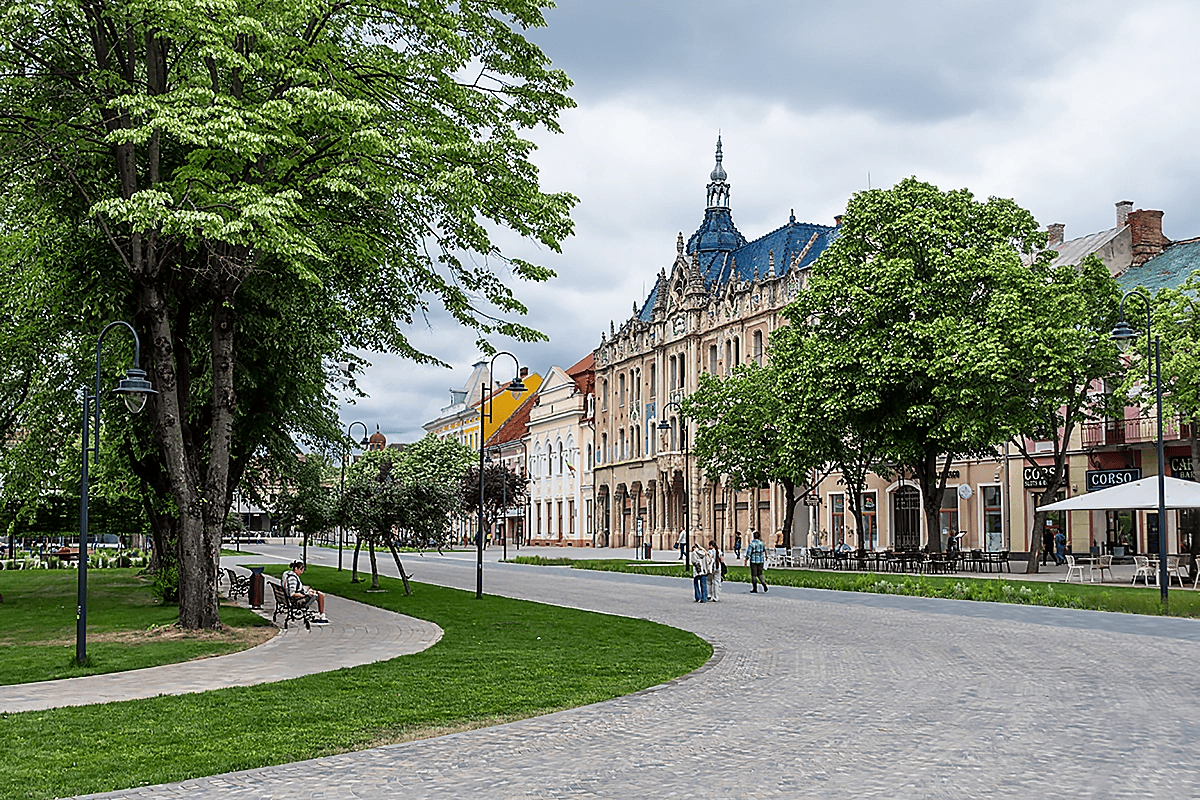 Servicii SEO Satu Mare