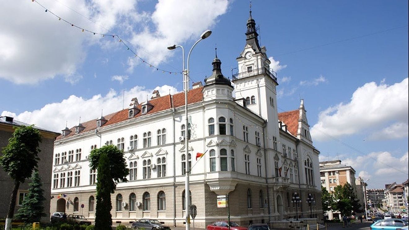 Servicii SEO Suceava