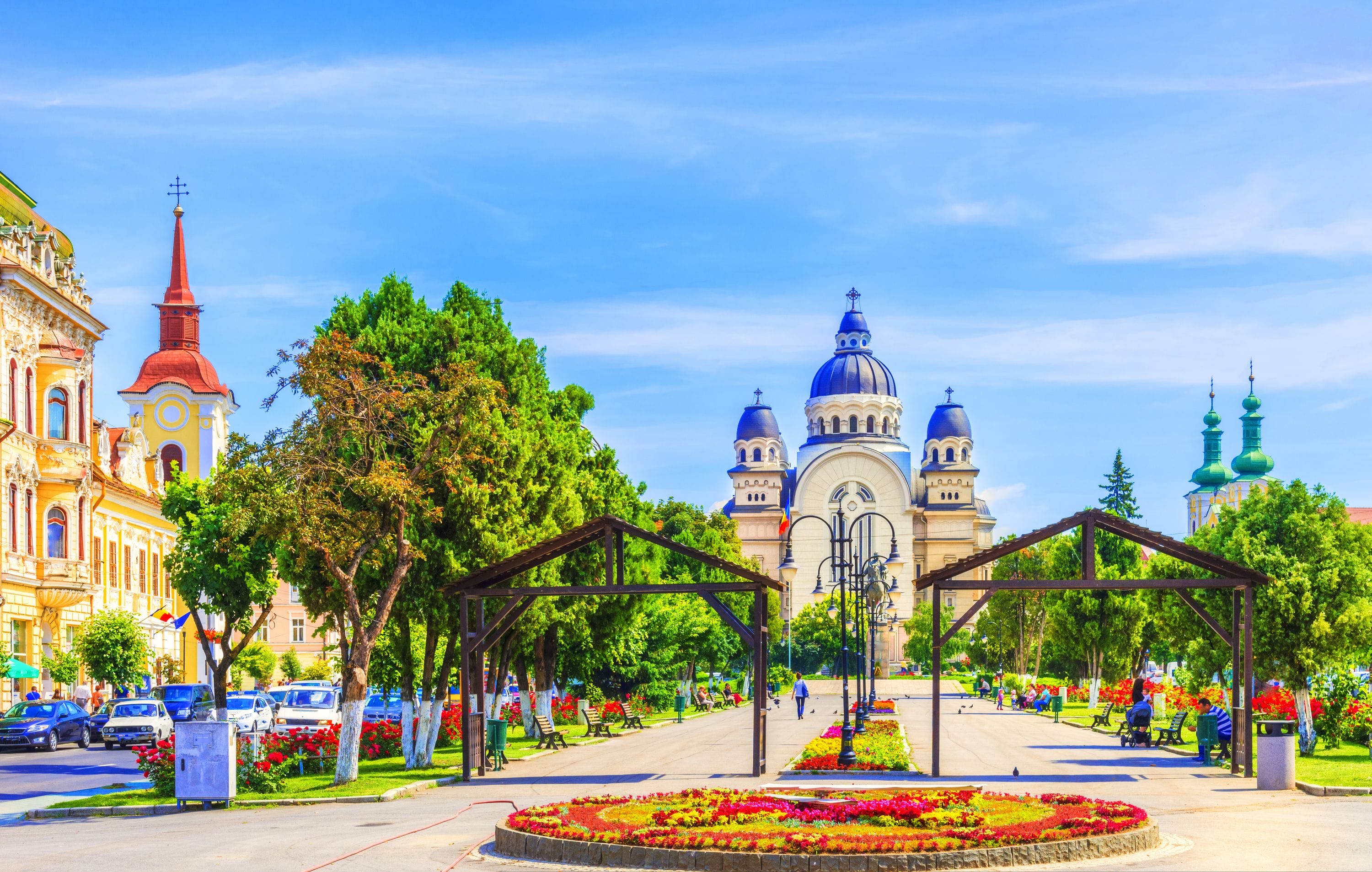 Servicii SEO Târgu Mureș